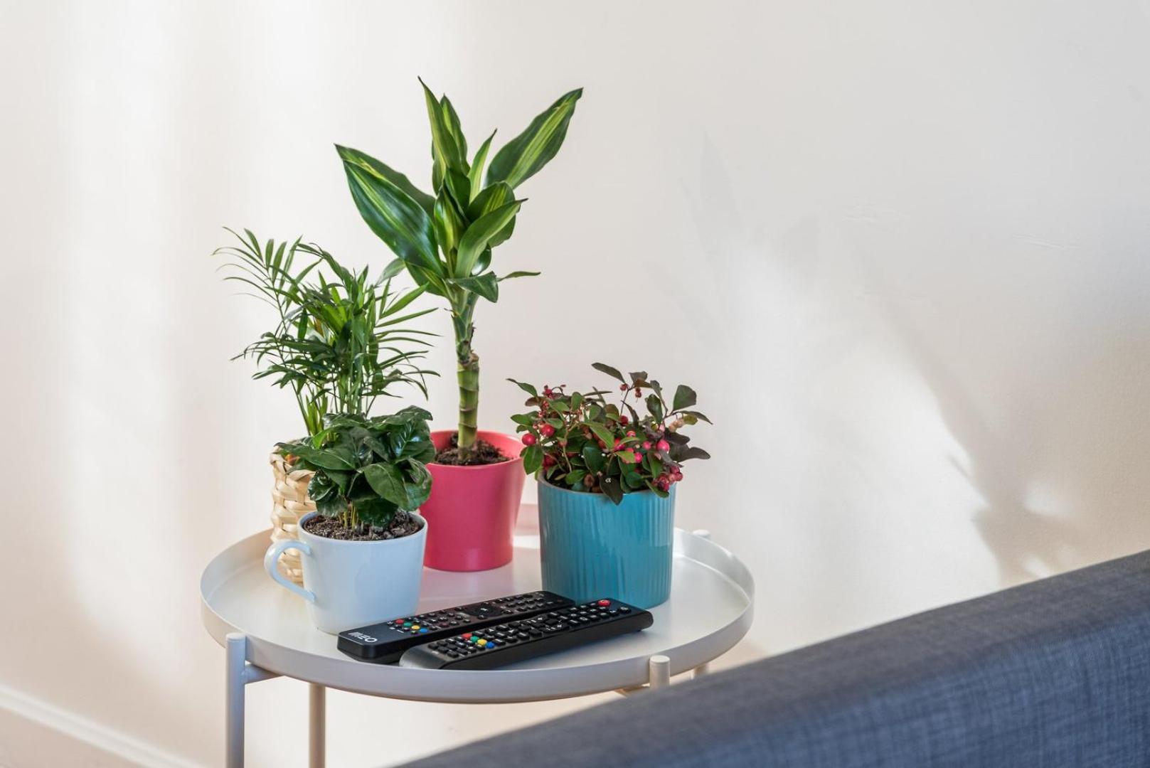 Guestready - Peaches & Cream Apartment Porto Luaran gambar